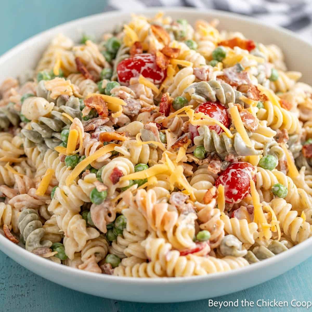 Pasta Salads