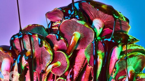 What You Need to Know About Psychedelics
