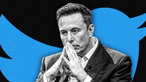 Elon Musk's X and Social Media
