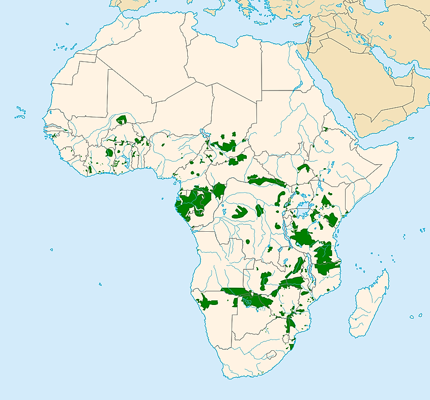 African Elephant habitat range has declined by 50% in the last 40 years