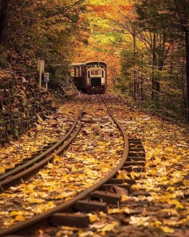 Trains And Rails