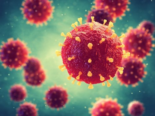 #Coronavirus Twice As Many Died This Summer than Last; Jan 2022 Dead: UK 150,000; cover image