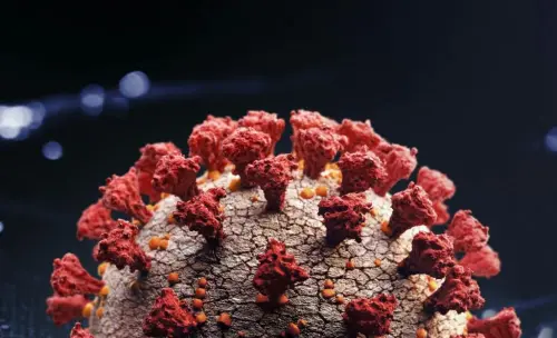 Covid 19 Post Vaccination  - cover