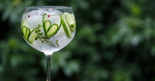 The Best Gins to Drink and Buy in 2024