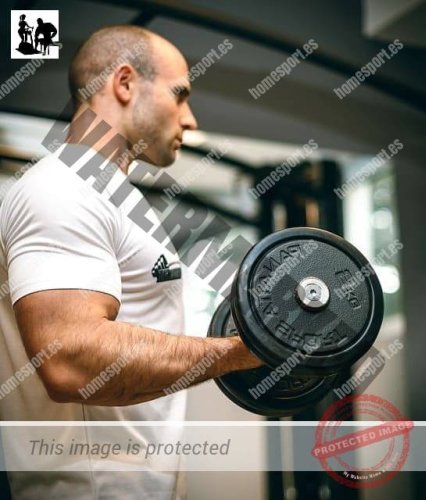 Homesport cover image