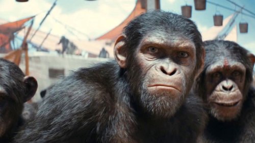 Kingdom Of The Planet Of The Apes: King (Spot)