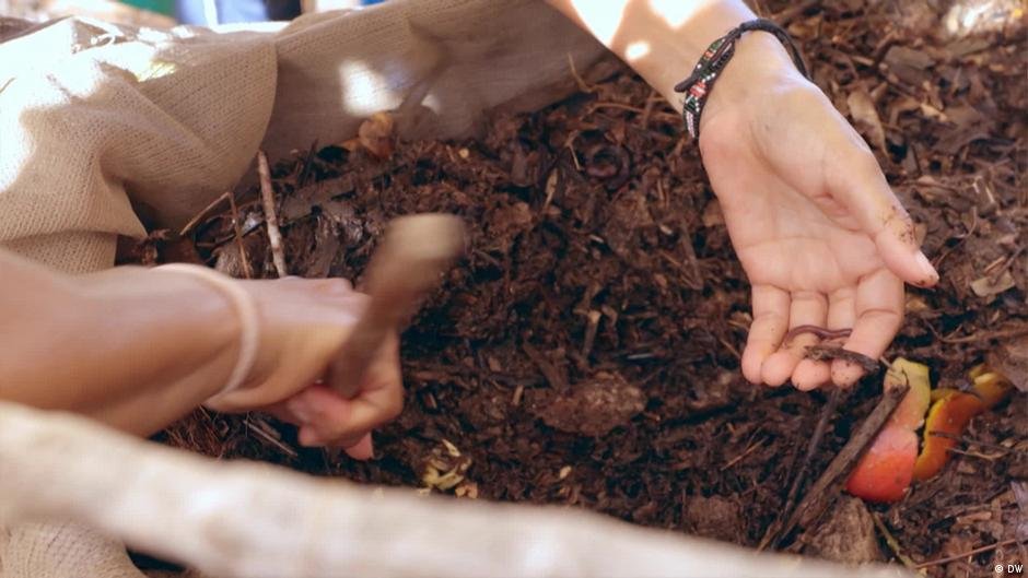 In Kenya, an experiment aims to turn sand into fertile soil