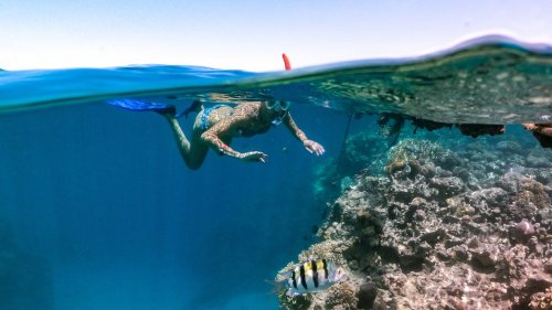 How To Safely Snorkel Around Coral Reefs