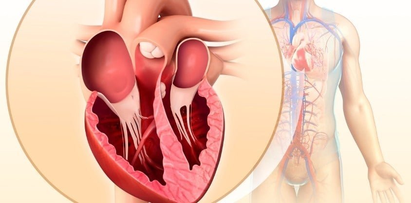 3 Foods Cardiologists Want You To Avoid To Bulletproof Your Heart