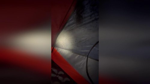 US: Backpacker’s Tent Overrun by Hundreds of Big Spiders in Shocking Nighttime Ordeal