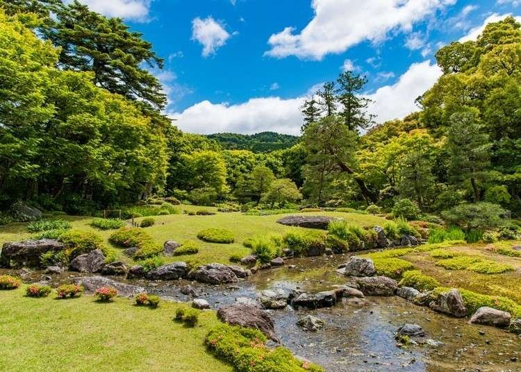 Expert Shares How To Best Experience Japanese Gardens