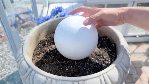 Stick a Dollar Store foam ball into a planter for this GENIUS porch idea!