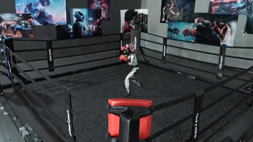 China: Humanoid robots with cutting-edge technology to shine at fighting competition
