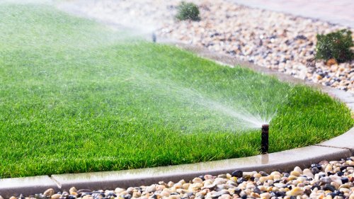 Lawn and garden watering tips every homeowner should know