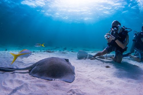 11 BEST GRAND CAYMAN EXCURSIONS