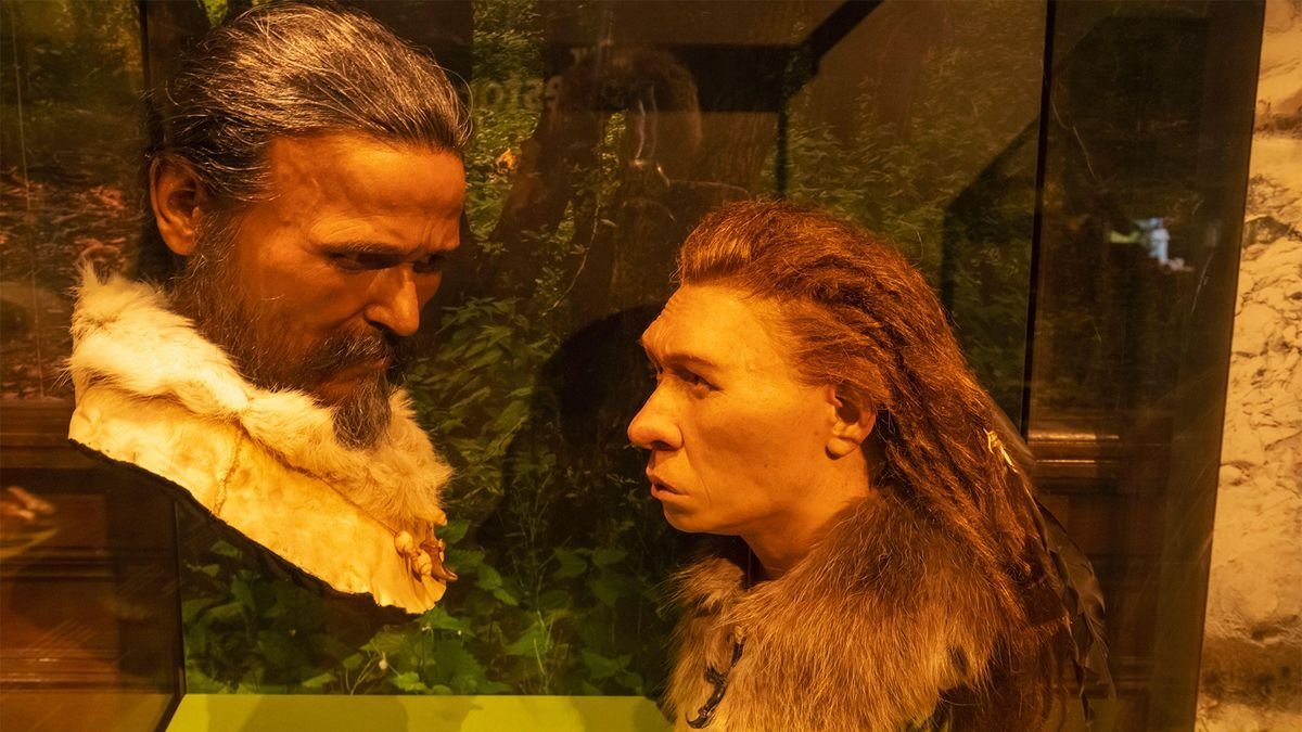New Archaeology Discoveries Shed Light on Humanity's Oldest Relatives