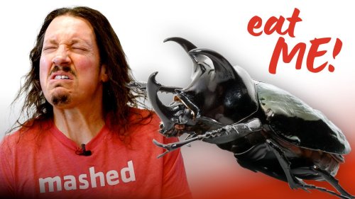 The Mashed Bros Taste-Tested 12 Bugs – Here's What They Had To Say About It