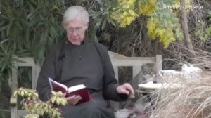 Adorable Kitten Shares a Pancake with a Very Patient Priest
