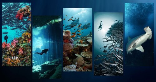 The Most Beautiful Dive Sites Around the World For Every Type of Diver