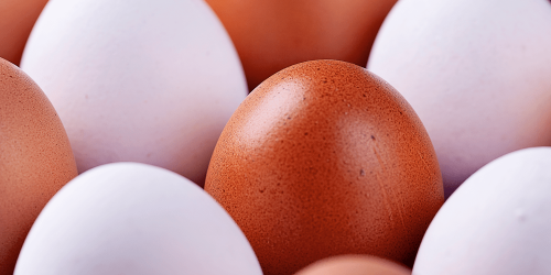 Brown Eggs vs. White Eggs: Is There a Difference?
