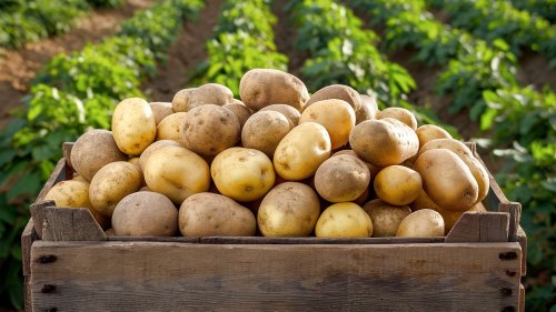 You're Storing Produce All Wrong - Here's How To Do It Right