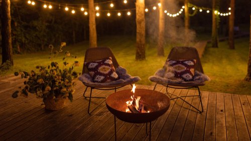 Natural pest removal tricks you'll wish you tried sooner