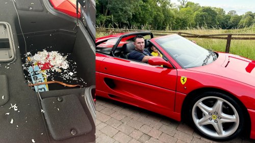 MJ's ex-bodyguard reveals his £200k Ferrari has been wrecked - by mice