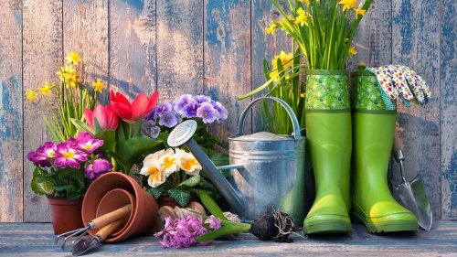 Crucial gardening tasks to do in March, before spring arrives