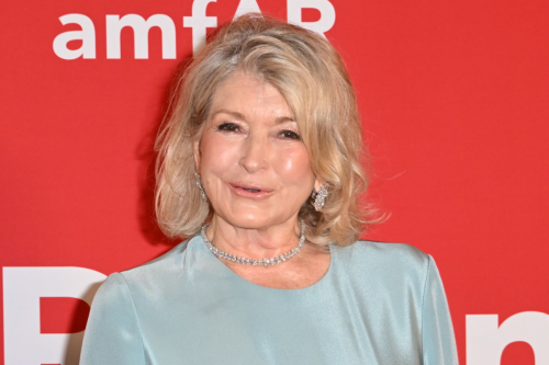 Martha Stewart shared a sultry mirror selfie that's breaking the Internet 