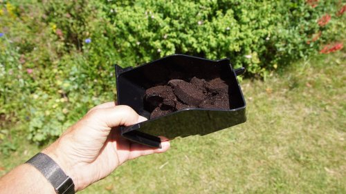 Ways to reuse coffee grounds in your yard and garden