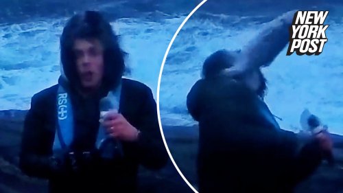 Fish hits weatherman in the face amid Norway's worst storm in 30 years
