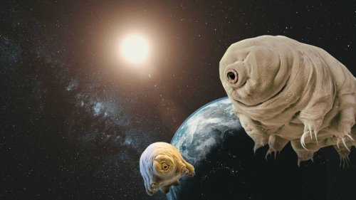 The Most Outrageous Theories About Aliens