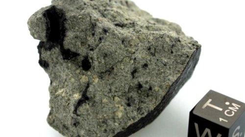 Martian Meteorite Has Signs of ‘Huge Organic Diversity’