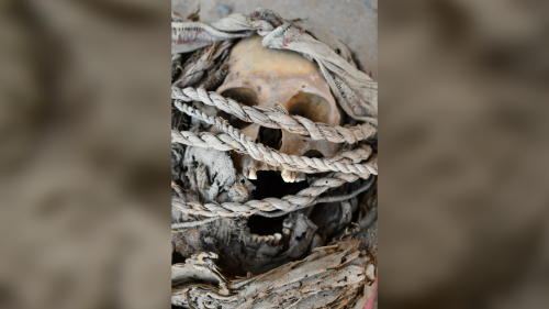 Archaeology: Circular tomb filled with battle-scarred skeletons found in Peru