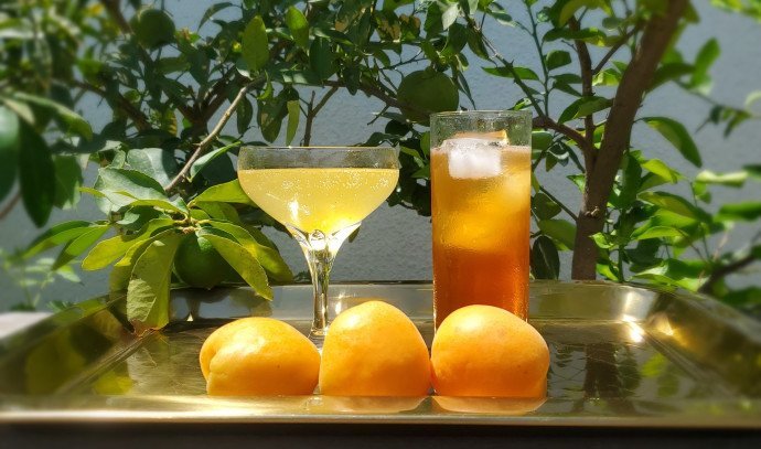 Summertime Culinary Delights: From Chilled Treats to Flavorful Sips