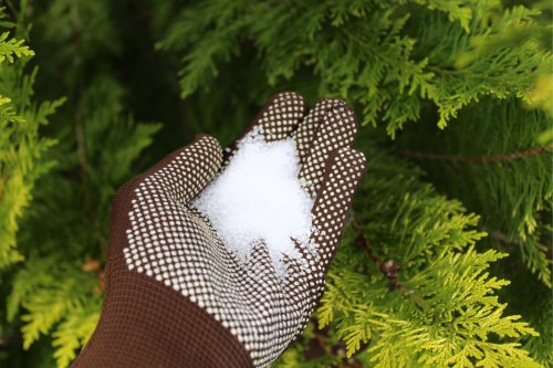 8 REASONS TO USE EPSOM SALT IN YOUR GARDEN TODAY