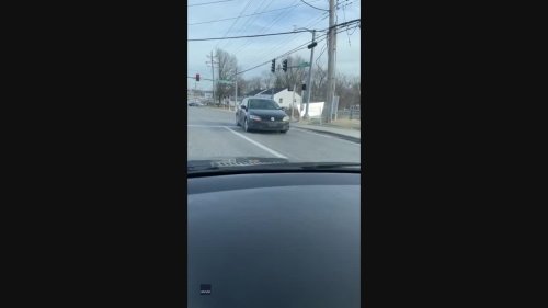 'Welcome to St Louis': Man Can't Contain Laughter as Car Reverses Through Traffic