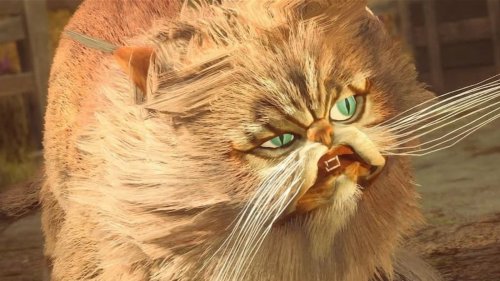 HOGWARTS LEGACY MAKES CATS INVINCIBLE BECAUSE PEOPLE KEEP ATTACKING THEM  