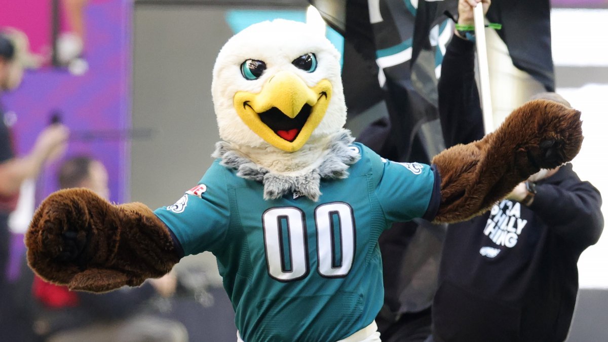 NFL mascots were recreated by AI, and they'll give you nightmares