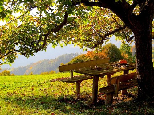 Herbstzeit - Wandern, Pilzesammeln, Picknicken