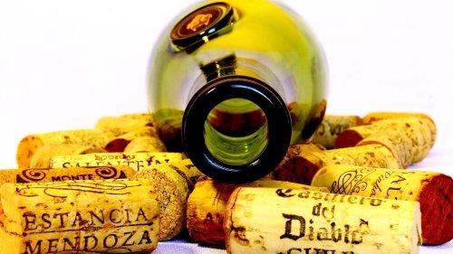 Pay Attention to These Sommelier Secrets on How To Avoid a Wine Headache!