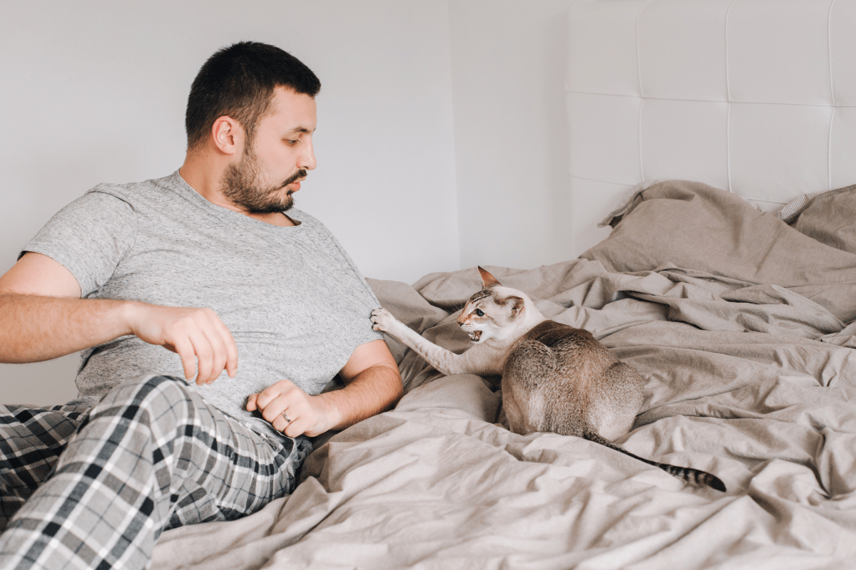 Why Does My Cat Sleep with Me But Not My Husband?