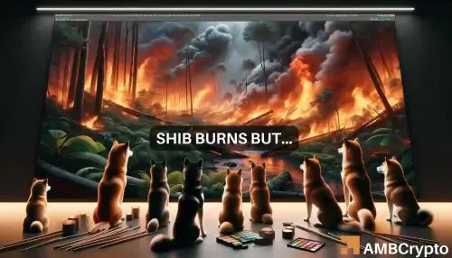 DOGE vs SHIB: There's only one winner