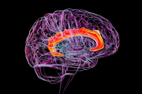Thanks to AI, we can now predict Dementia ahead of time!