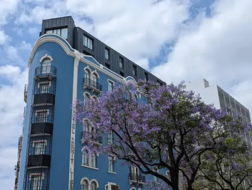 Lisbon's Best Month? Why You Should Visit in May