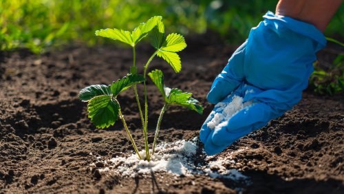 Gardening - cover