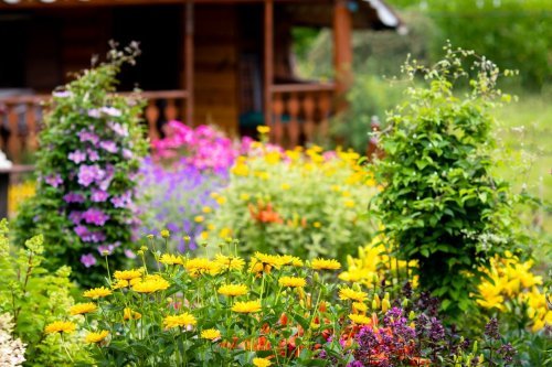 GUIDE 2 GARDENS - cover
