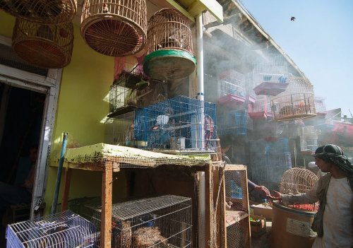 8 of the World’s Most Intriguing Cities to Explore