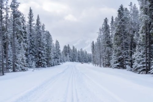 Magazine - ALBERTA