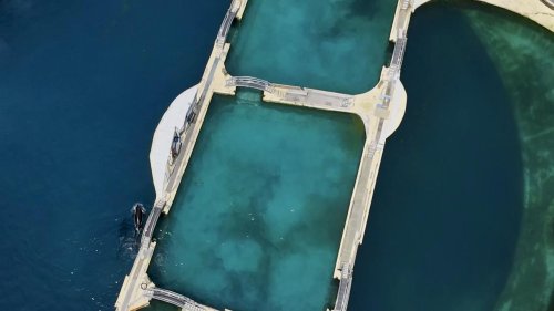 France: Europe’s largest marine park seeks new home for its animals after closure